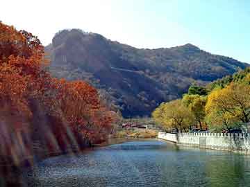 澳门精准正版免费大全14年新，大鹏背景